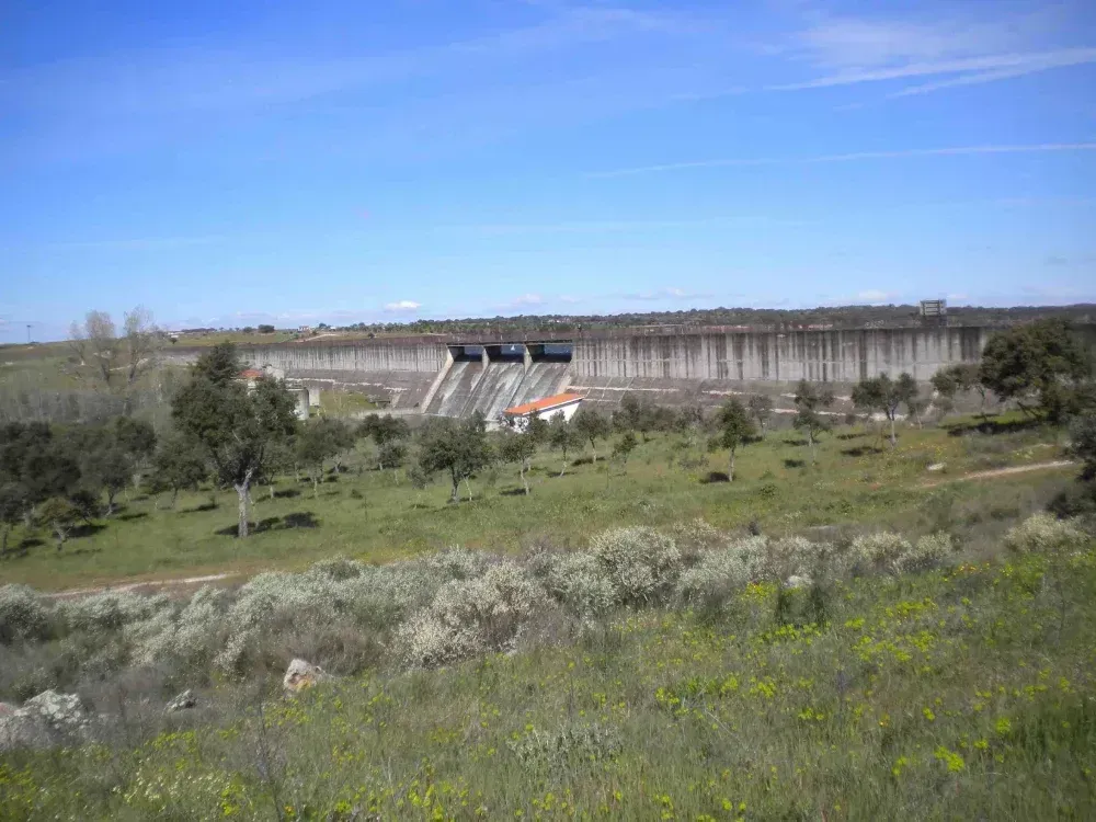 Una gran presa que se extiende hasta el horizonte bajo un cielo azul, enclavada en un campo verde con árboles dispersos.