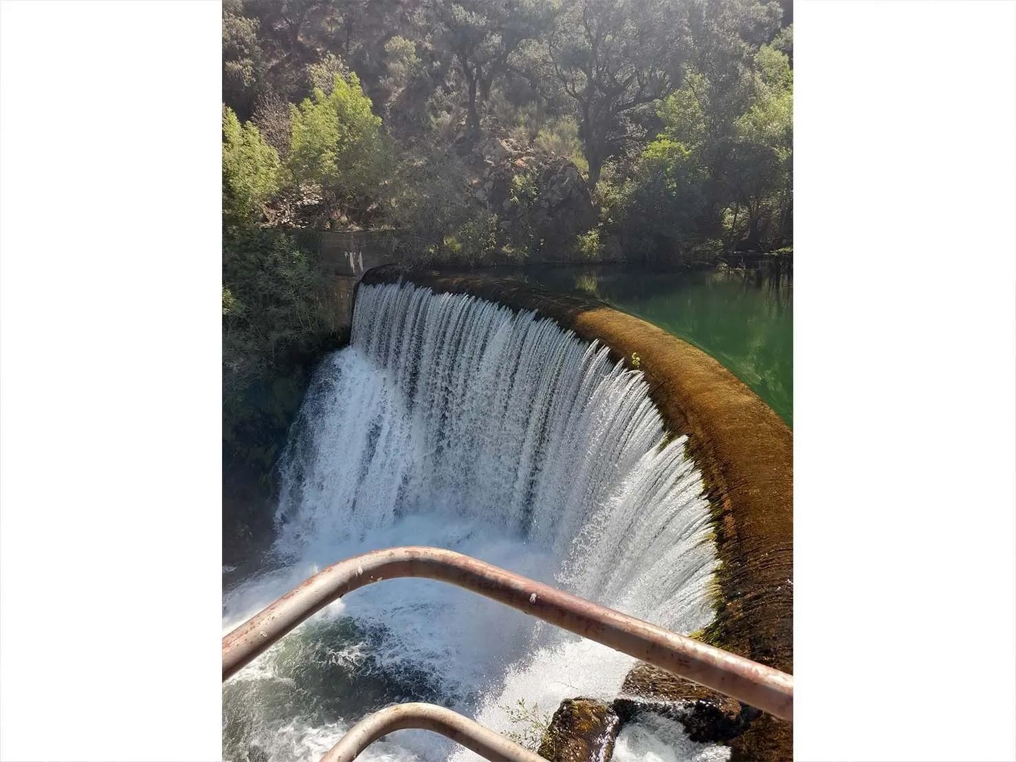 Cascada que cae sobre una presa de hormigón curva; exuberantes árboles verdes al fondo, barandilla en primer plano.