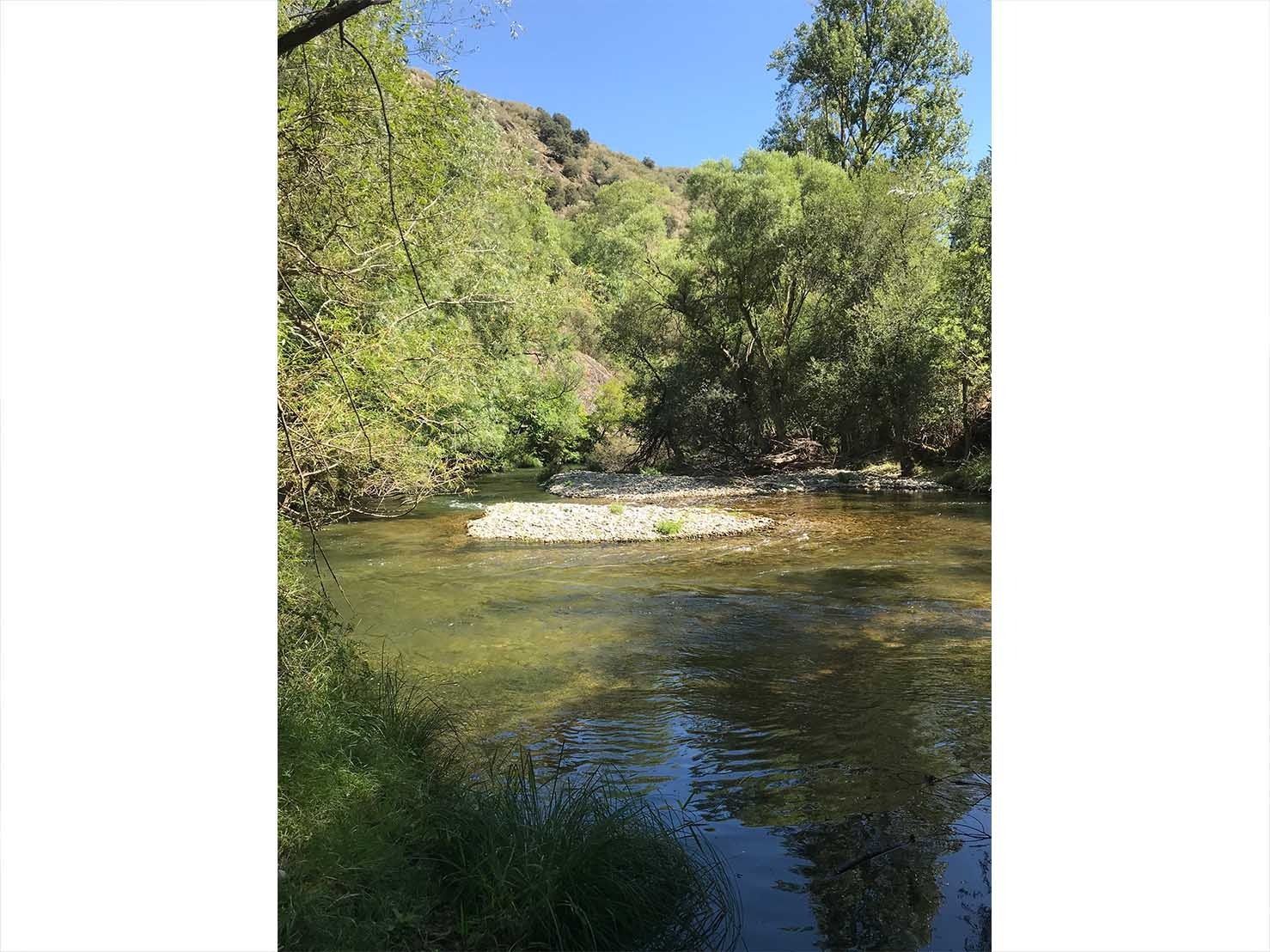 Río cristalino que fluye a través de un paisaje verde y exuberante bajo un cielo azul brillante.