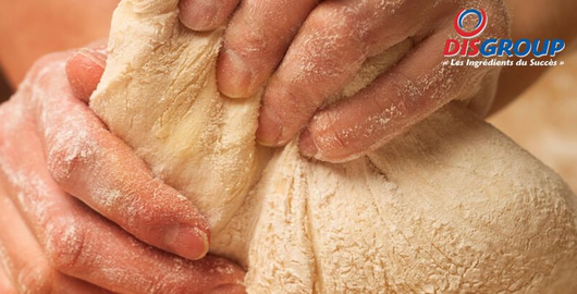 Pâte à pain