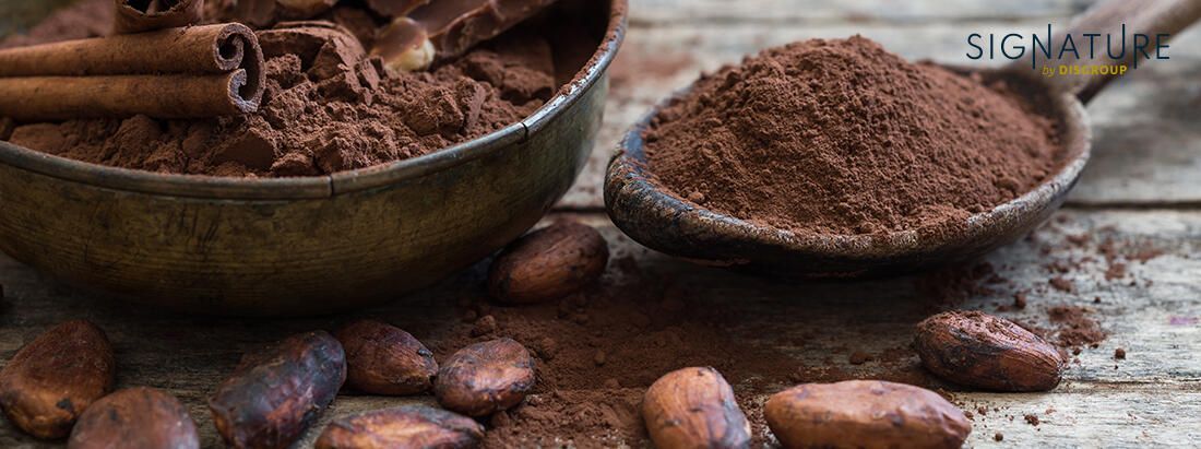 Un bol et une cuillère remplis de cacao en poudre, entourés de fèves de cacao et de bâtons de cannelle.