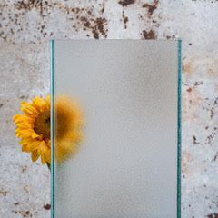 Profilglas Stück im Hintergrund eine verschwommene SonnenblumeProfilglas Stück im Hintergrund eine verschwommene Sonnenblume