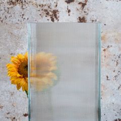 Profilglas Stück im Hintergrund eine verzerrte Sonnenblume