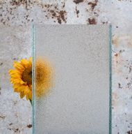 Glas mit Profil und Sonnenblume im Hintergrund