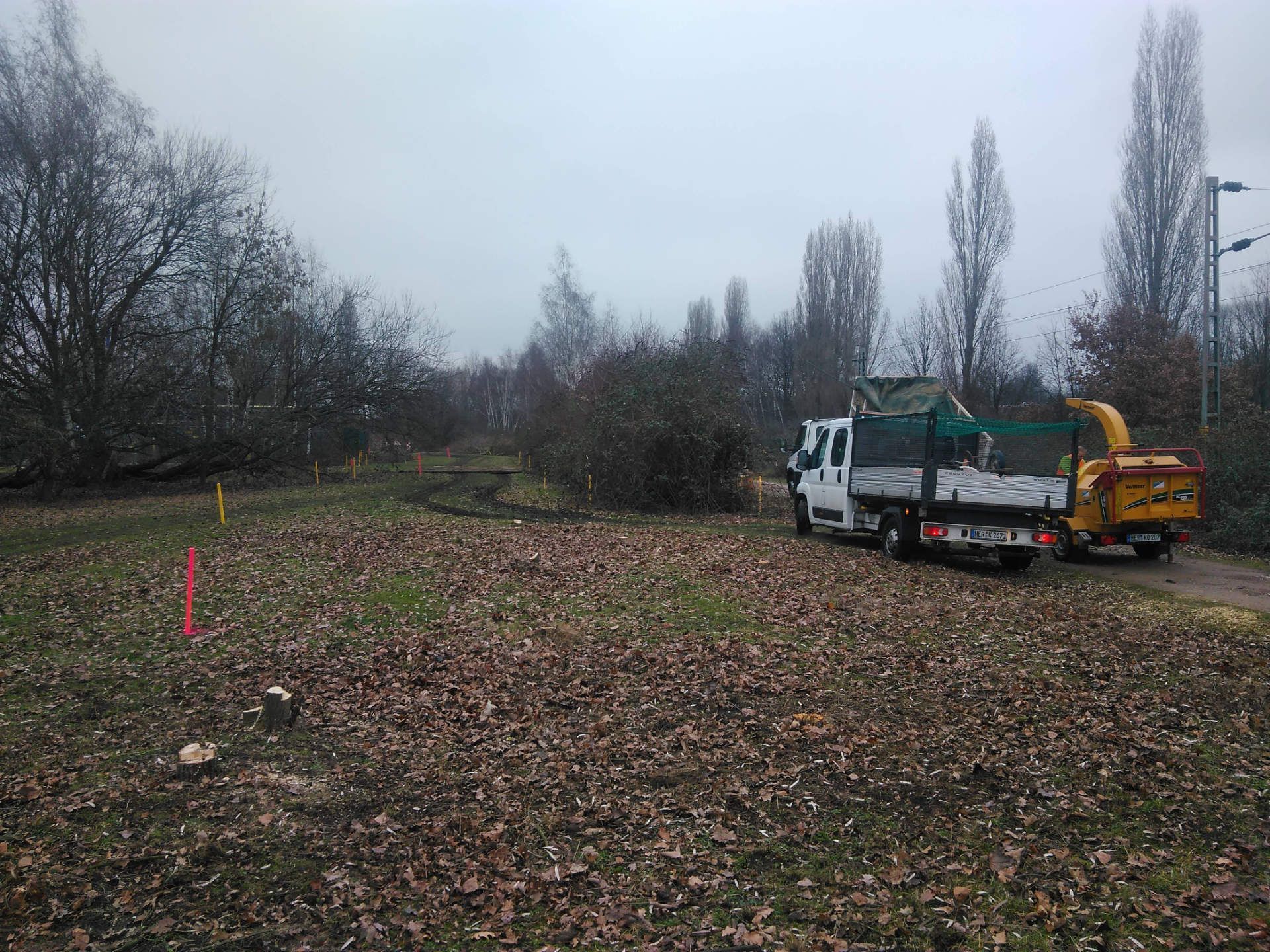 Ein weißer Lastwagen steht auf einem Feld neben einem Baumhäcksler.