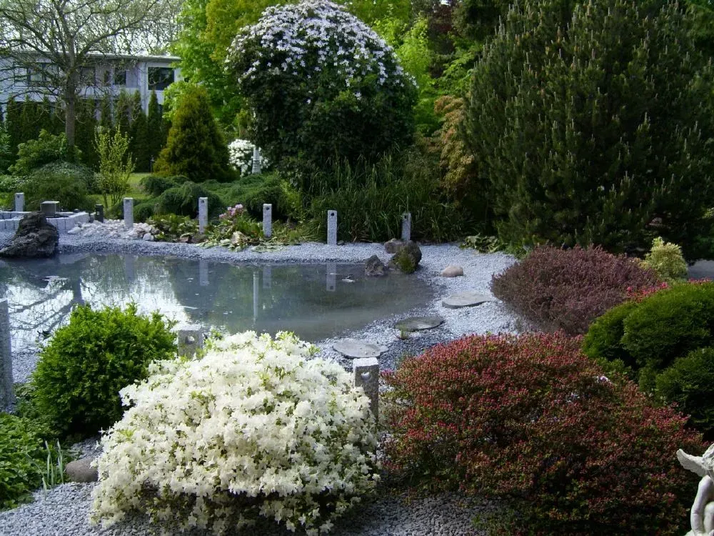 Ein Garten mit einem Teich, umgeben von Bäumen und Sträuchern