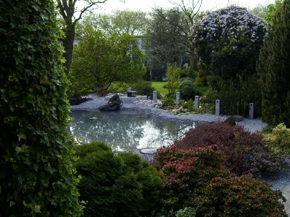 Ein Teich umgeben von Bäumen und Sträuchern in einem Garten