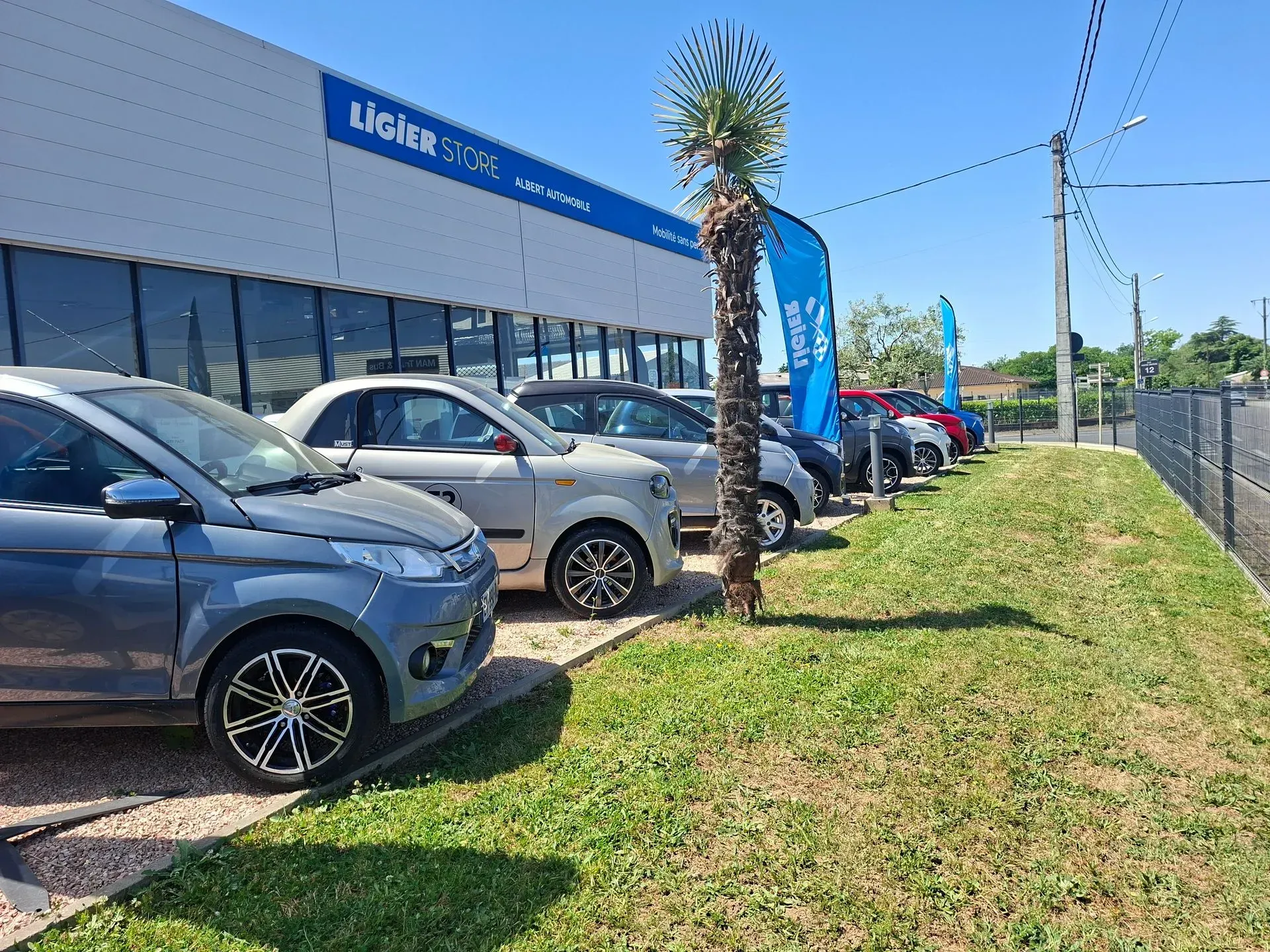 Terrain d'un concessionnaire automobile avec des voitures sans permis garées à côté d'une salle d'exposition.