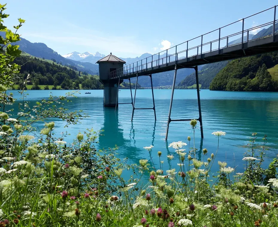 Heller türkisfarbener See mit einer Brücke, die zu einem kleinen Turm führt. Grüne Hügel und Berge unter blauem Himmel.