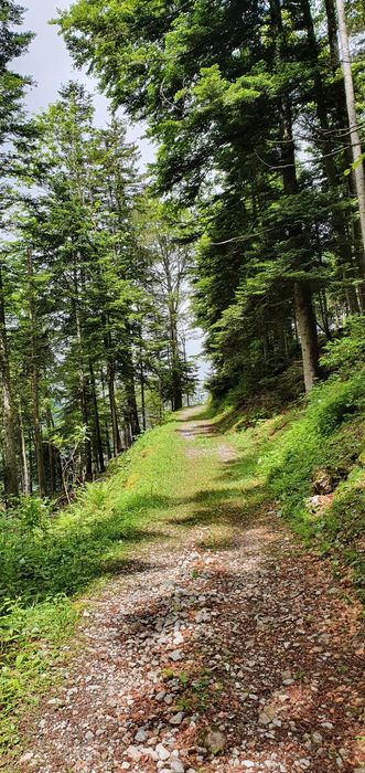 See mit türkisfarbenem Wasser, eine Brücke, die zu einem Turm führt, Wildblumen im Vordergrund, Berge im Hintergrund.