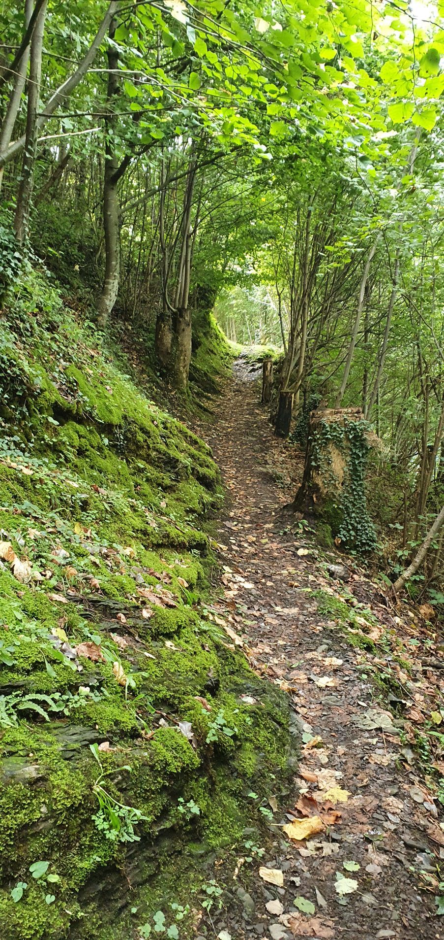 Frau im Lotussitz meditiert drinnen auf einer Yogamatte, Hände in einem Mudra.