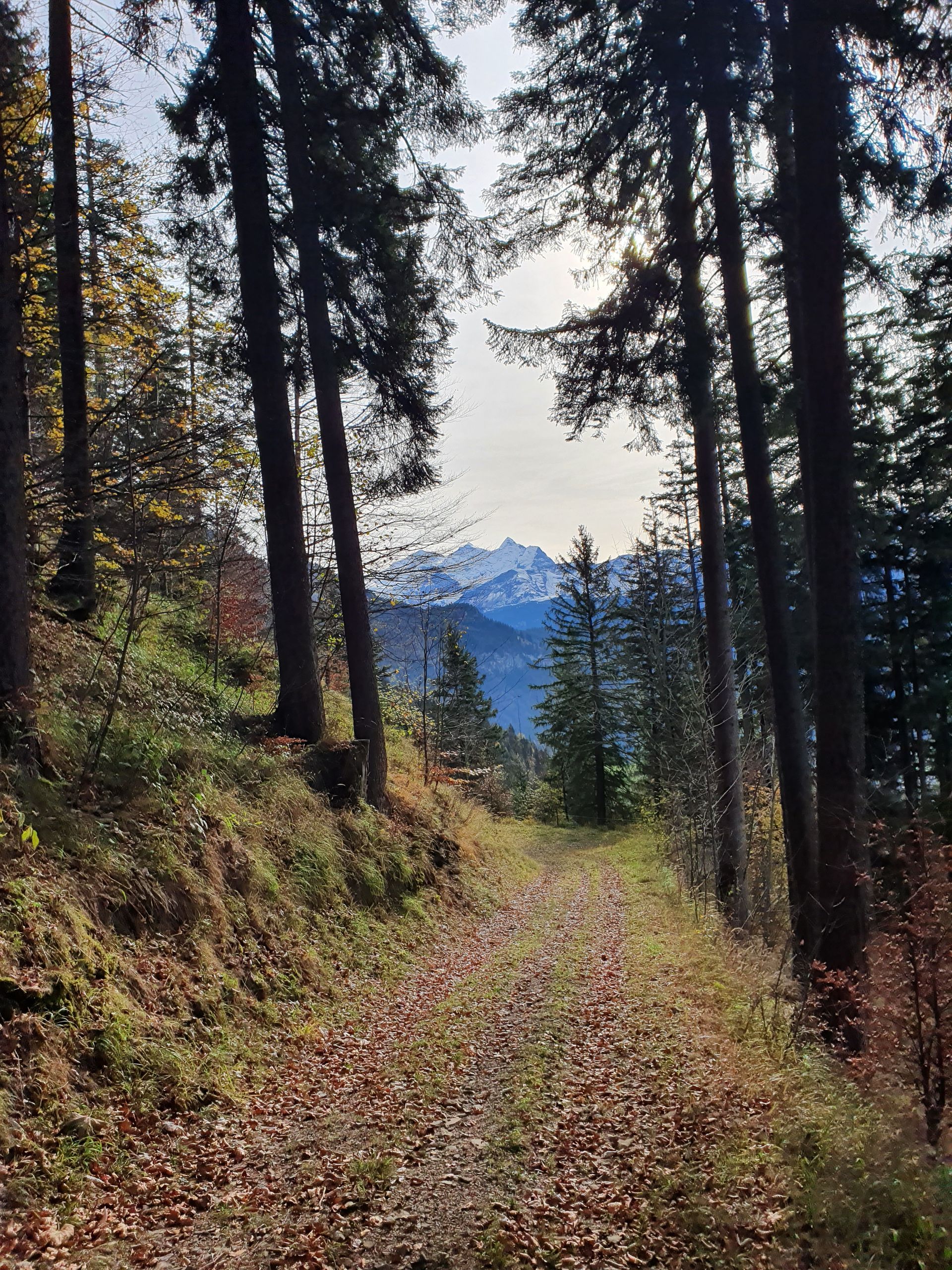 Türkisfarbener See mit einer Brücke zu einem Turm; Berge in der Ferne, Wildblumen im Vordergrund.