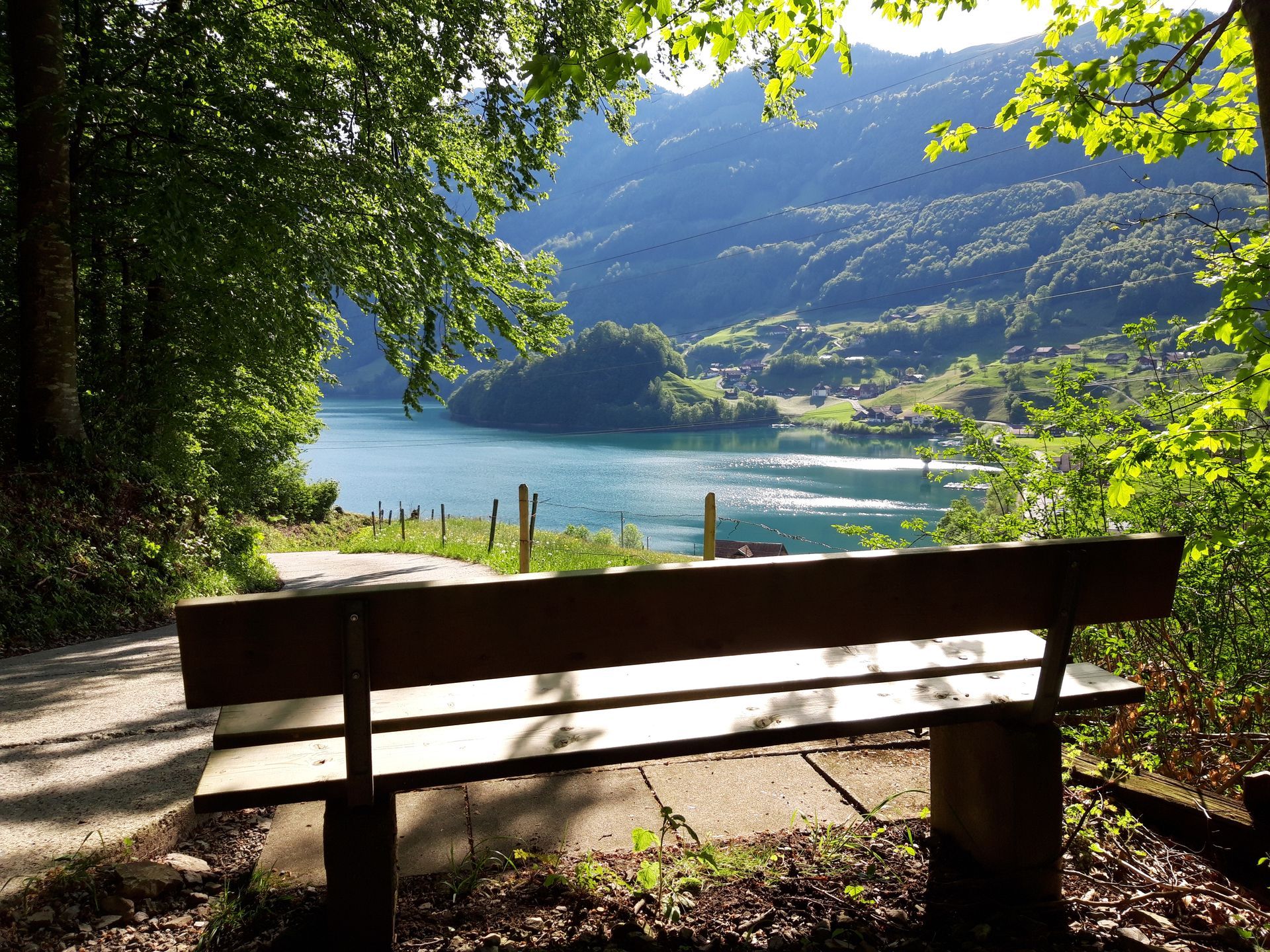 Brennende weiße Stumpenkerzen in einem schwarzen Tablett, mit einer grünen Kerze im Hintergrund, erzeugen ein warmes, entspannendes Licht.