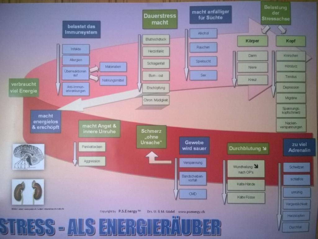 Spa-Ambiente: Gestapelte Steine, brennende Kerzen, Diffusor und Blumen auf einem Holztisch.