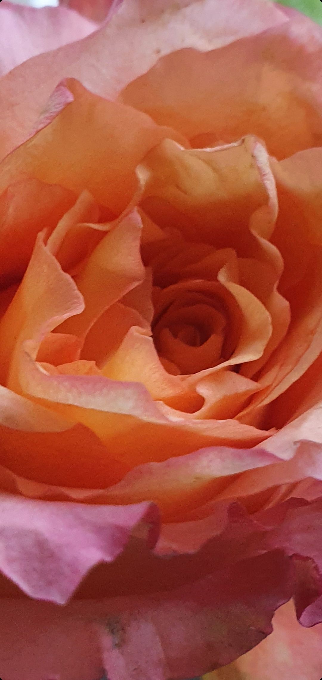 Massagetisch mit gerolltem Handtuch, braunen Kissen und warmer Beleuchtung.