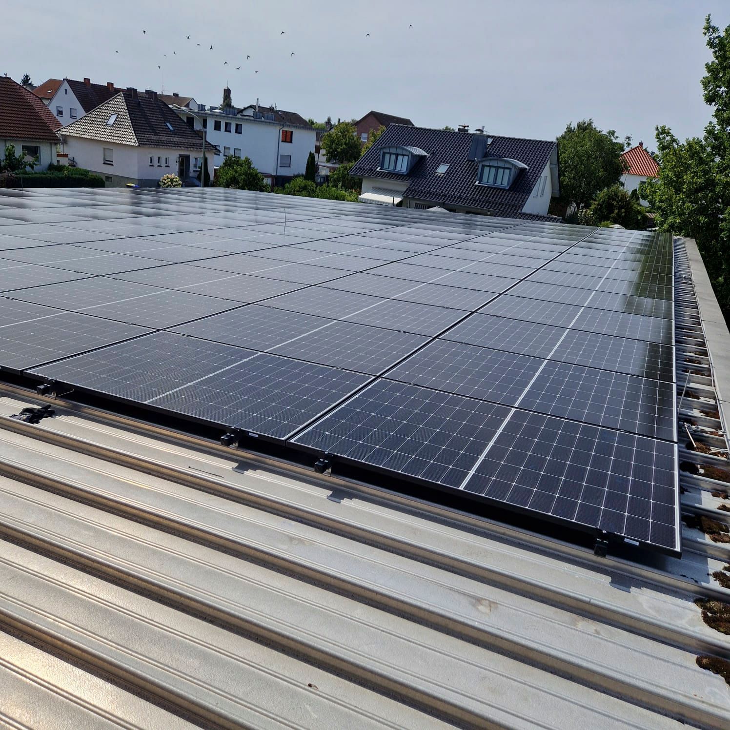Auf einem Wellblechdach installierte Solarpaneele, im Hintergrund Dächer und Bäume an einem sonnigen Tag.