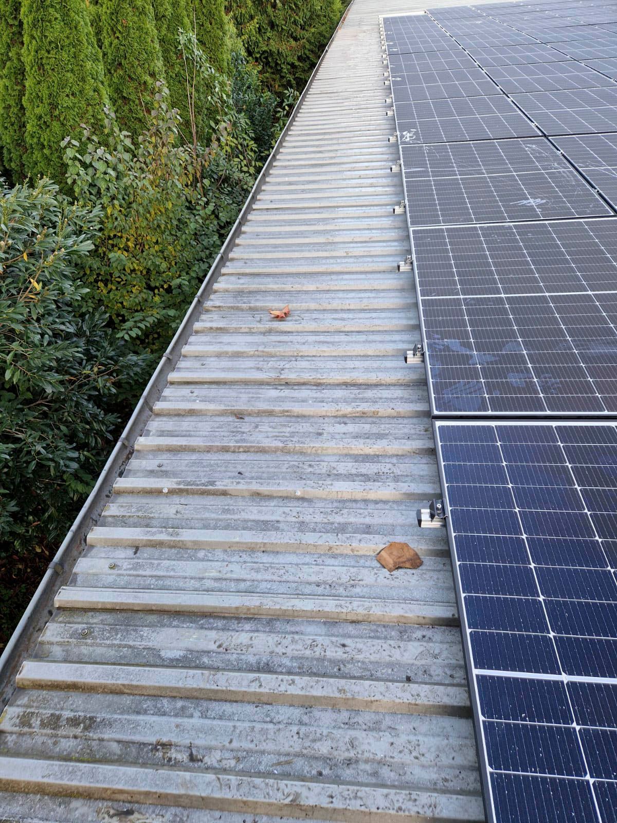 Solarpaneele auf einem Metalldach neben grünen Bäumen.