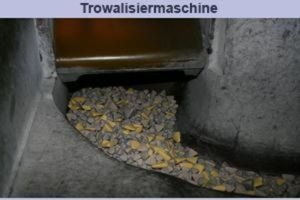 Trowalisiermaschine Walther