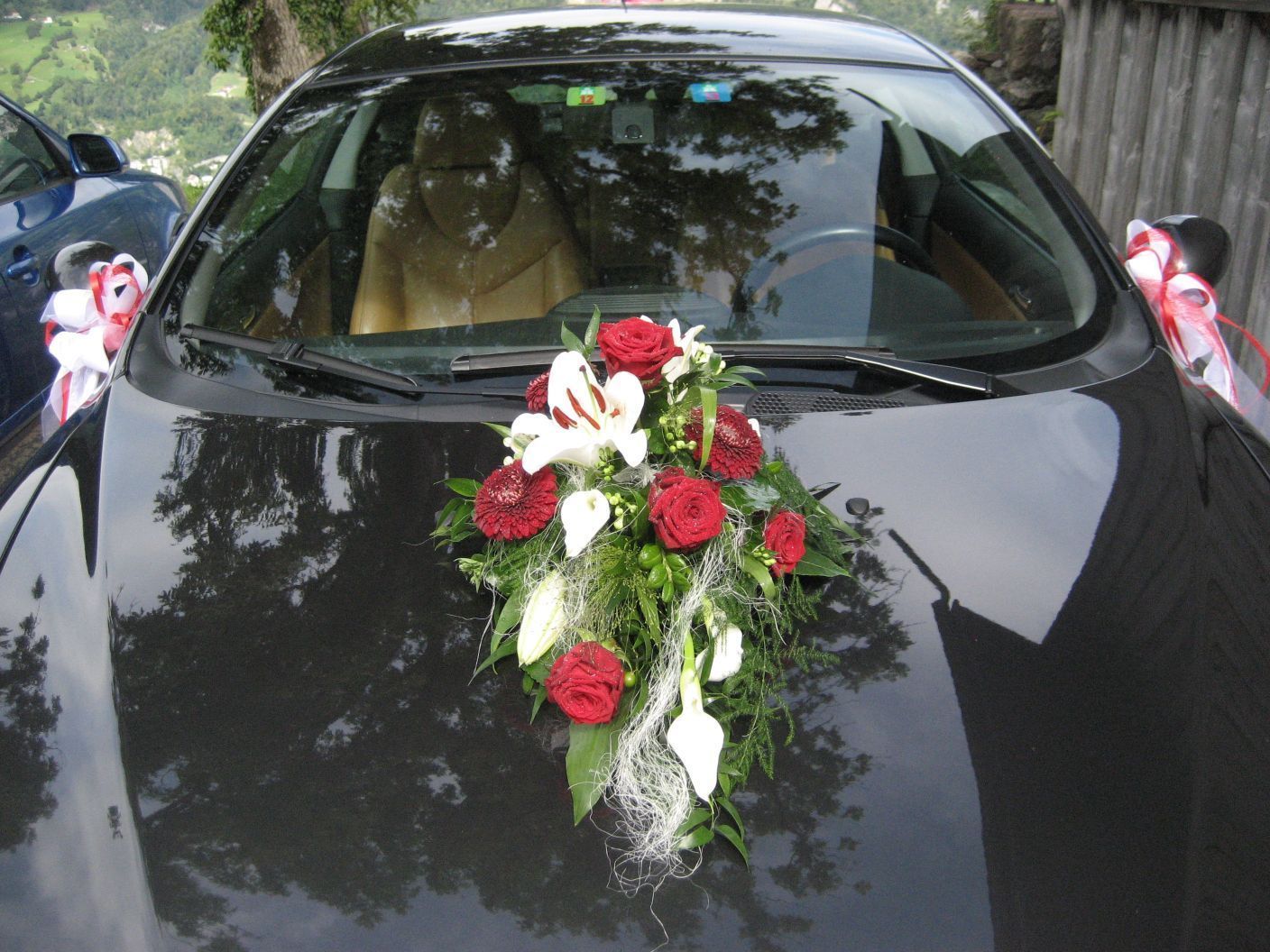 Blumen Vergissmeinnicht GmbH | Unterterzen