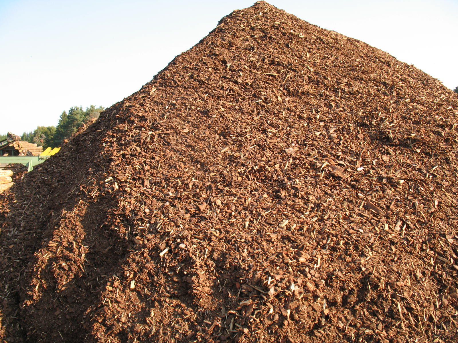 Tas de paillis brun, à l'extérieur, recouvrant une zone.