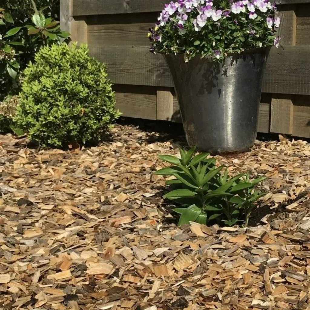 Parterre de jardin avec copeaux de bois, fleurs en pot, petit buisson vert et clôture en bois.
