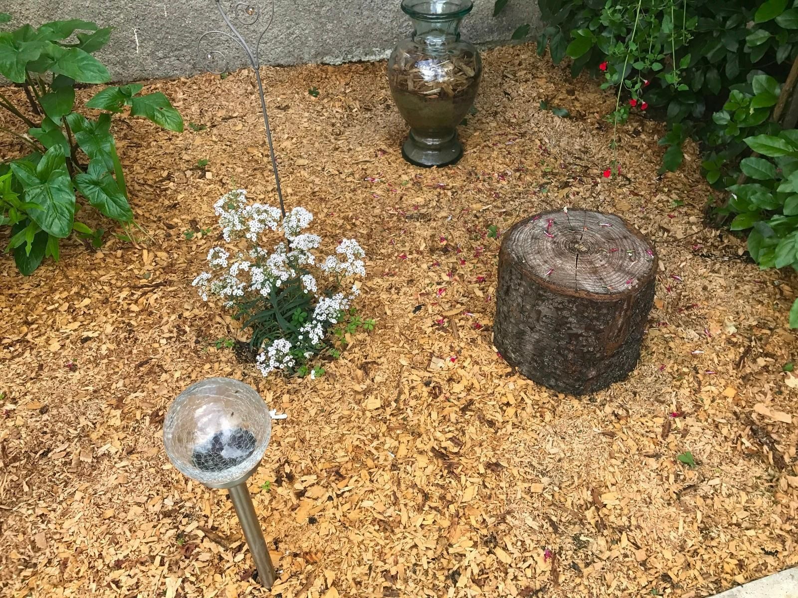 Parterre de jardin avec copeaux de bois, fleurs, vase en verre, souche d'arbre et lampe solaire.