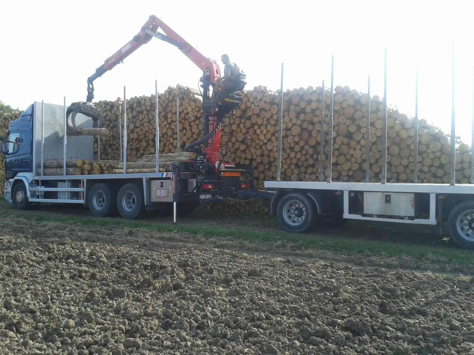 Camion-grue chargeant des bûches sur une remorque dans un champ.