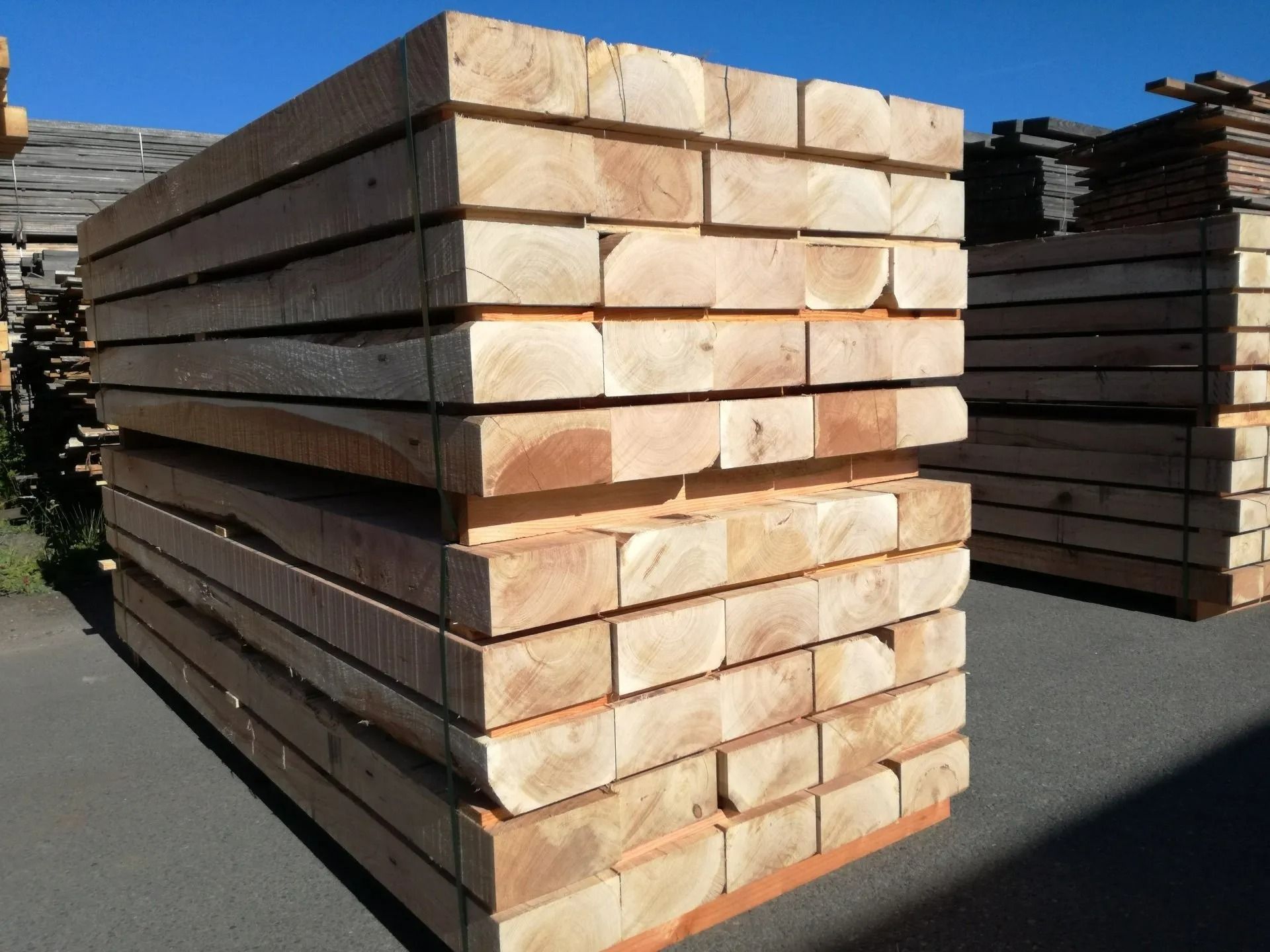 Des piles de bois brun clair, à l'extérieur, sous un ciel bleu limpide.