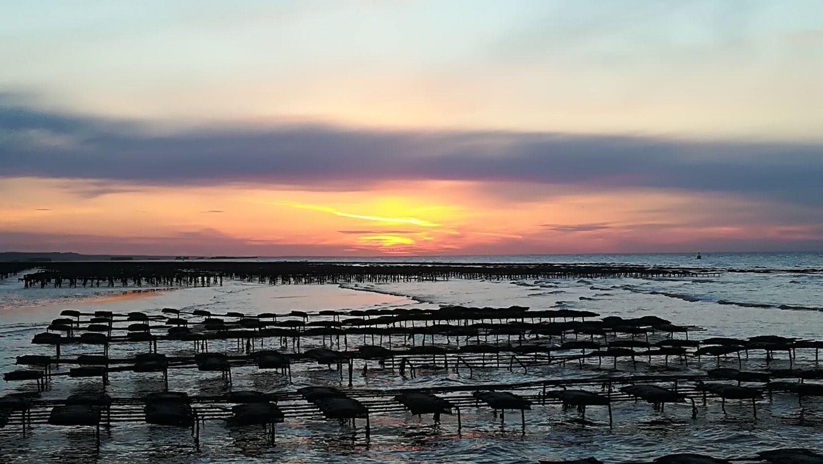 Coucher du soleil sur le site d'ostréiculture