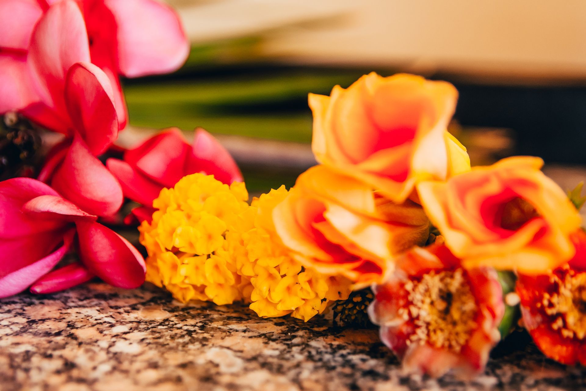 Primer plano de flores vibrantes, que incluyen frangipani rosado, caléndulas y rosas naranjas, que descansan sobre una superficie moteada.