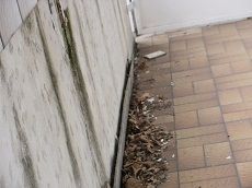 Balkonsanierung vorher