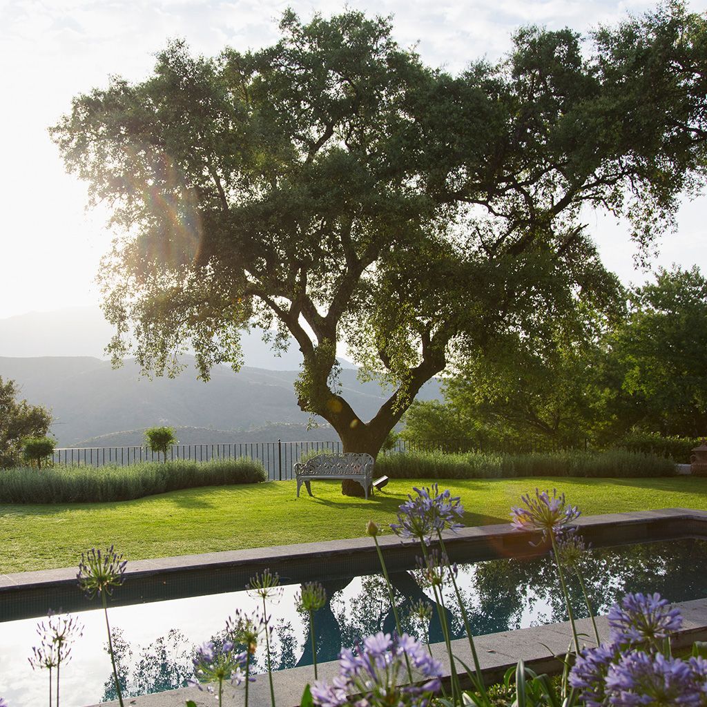 Grand jardin avec piscine et un grand arbre avec vue sur une vallée