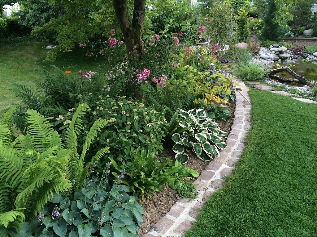 Schattenpflanzen Rabatte (Kies) - Berisa S. GmbH - Bottmingen