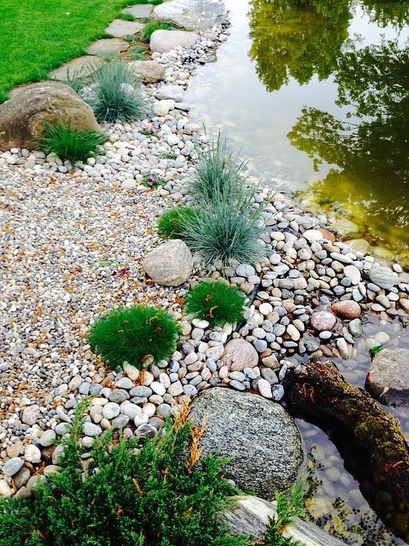 Teich - Berisa S. GmbH - Bottmingen