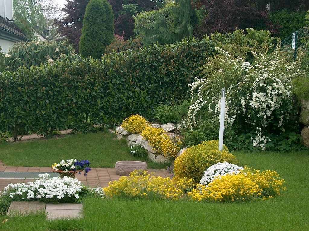 Polsterpflanzen Berisa S. GmbH - Bottmingen