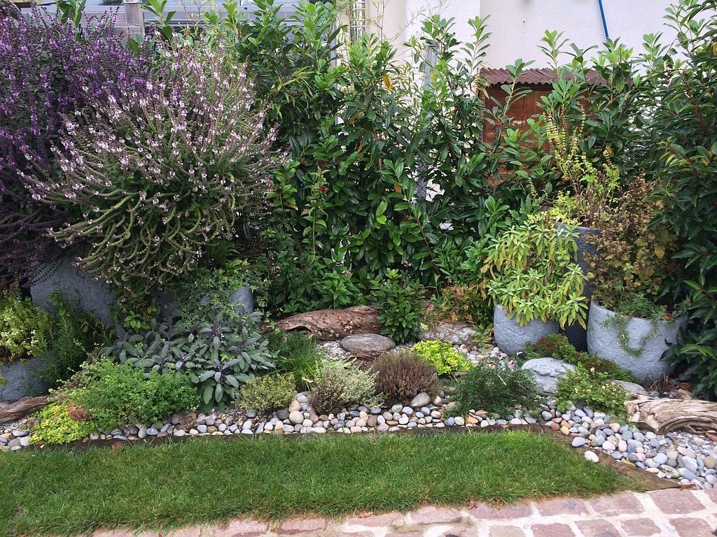 Küchenkräuter und Gewürzpflanzen Rabatte - Berisa S. GmbH - Bottmingen