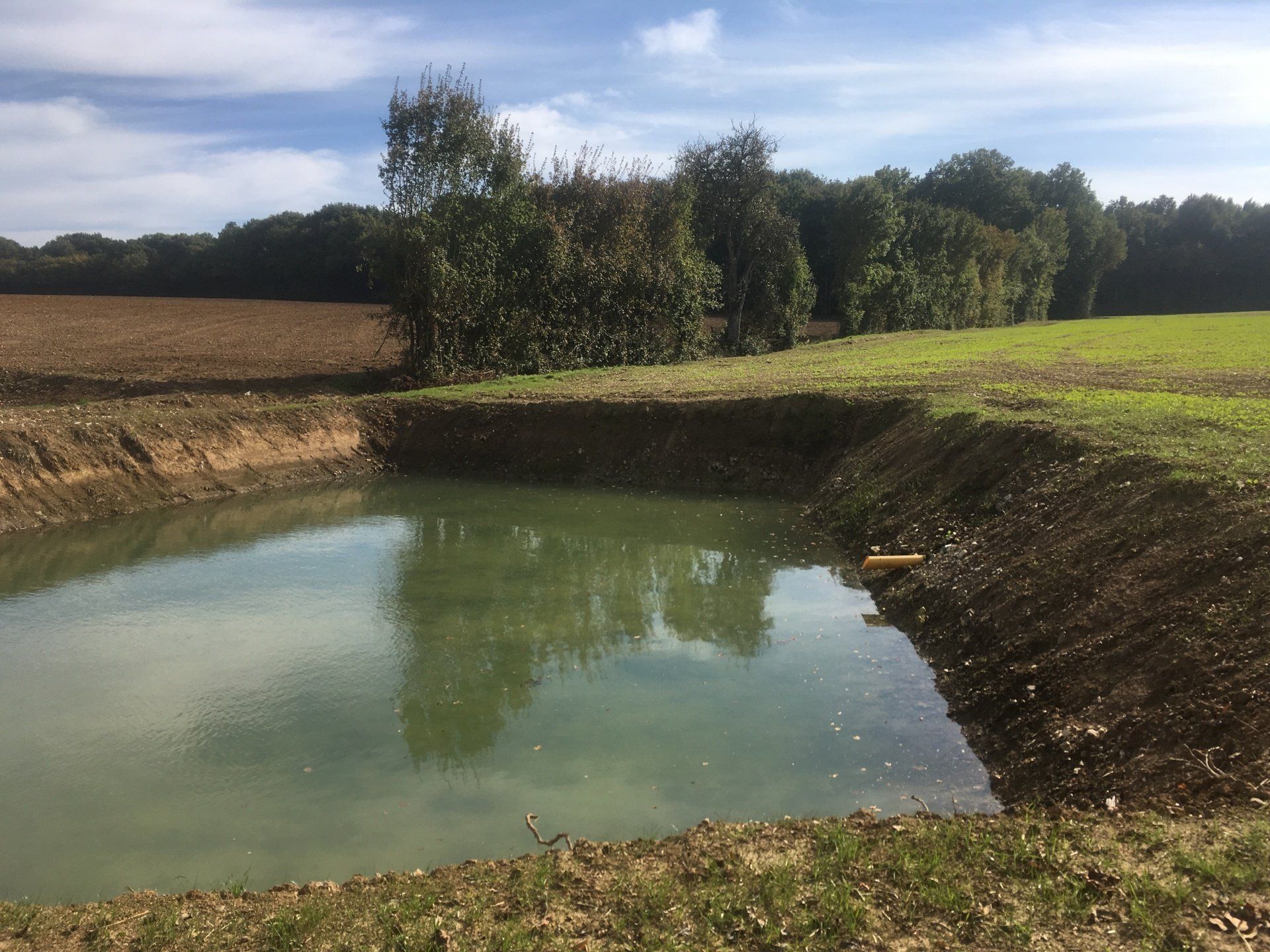 Drainage agricole : Aménagement d’une zone tampon humide