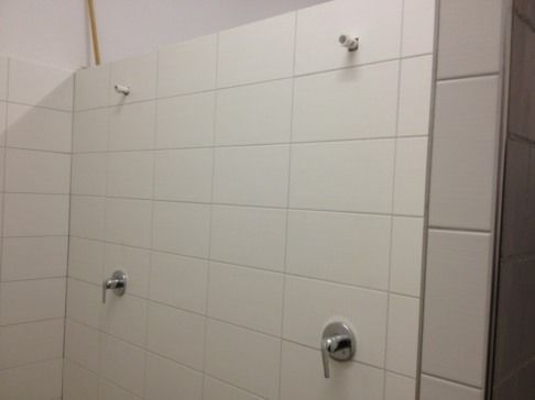 Zirkus Monti 5610 Wohlen