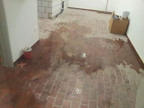 Zirkus Monti 5610 Wohlen