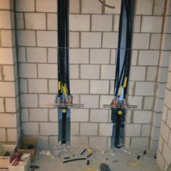 Zirkus Monti 5610 Wohlen