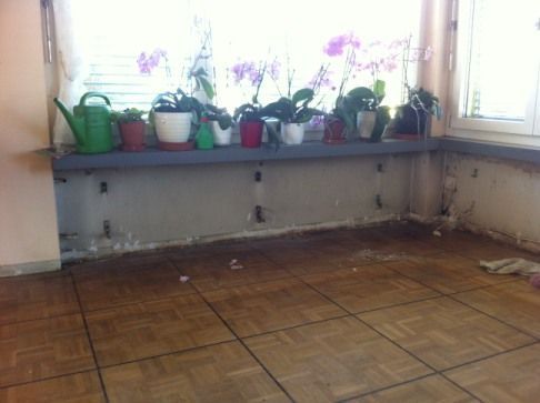 Zirkus Monti 5610 Wohlen