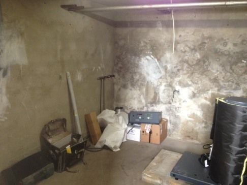 Zirkus Monti 5610 Wohlen