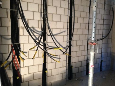 Zirkus Monti 5610 Wohlen