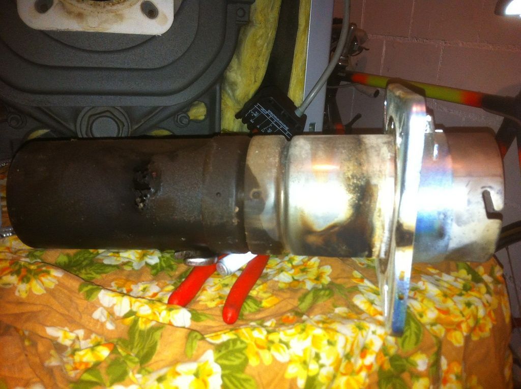 Zirkus Monti 5610 Wohlen