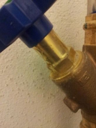 Zirkus Monti 5610 Wohlen