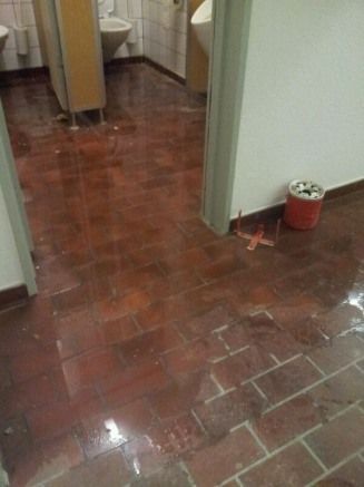 Zirkus Monti 5610 Wohlen