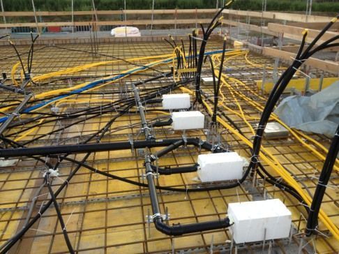 Zirkus Monti 5610 Wohlen