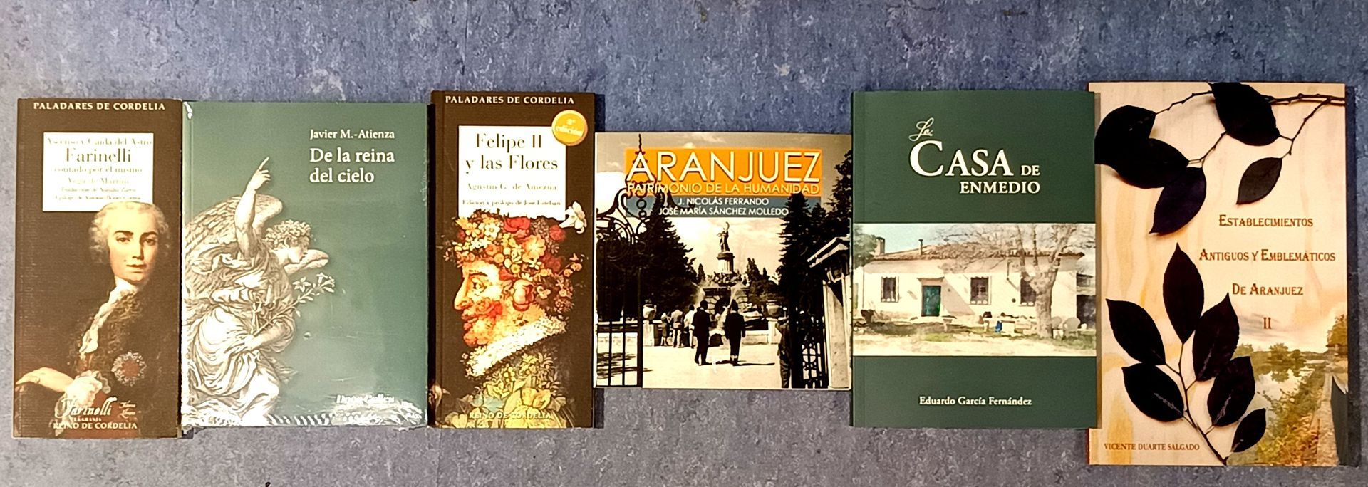 Una fila de libros sobre una mesa, incluida la casa.