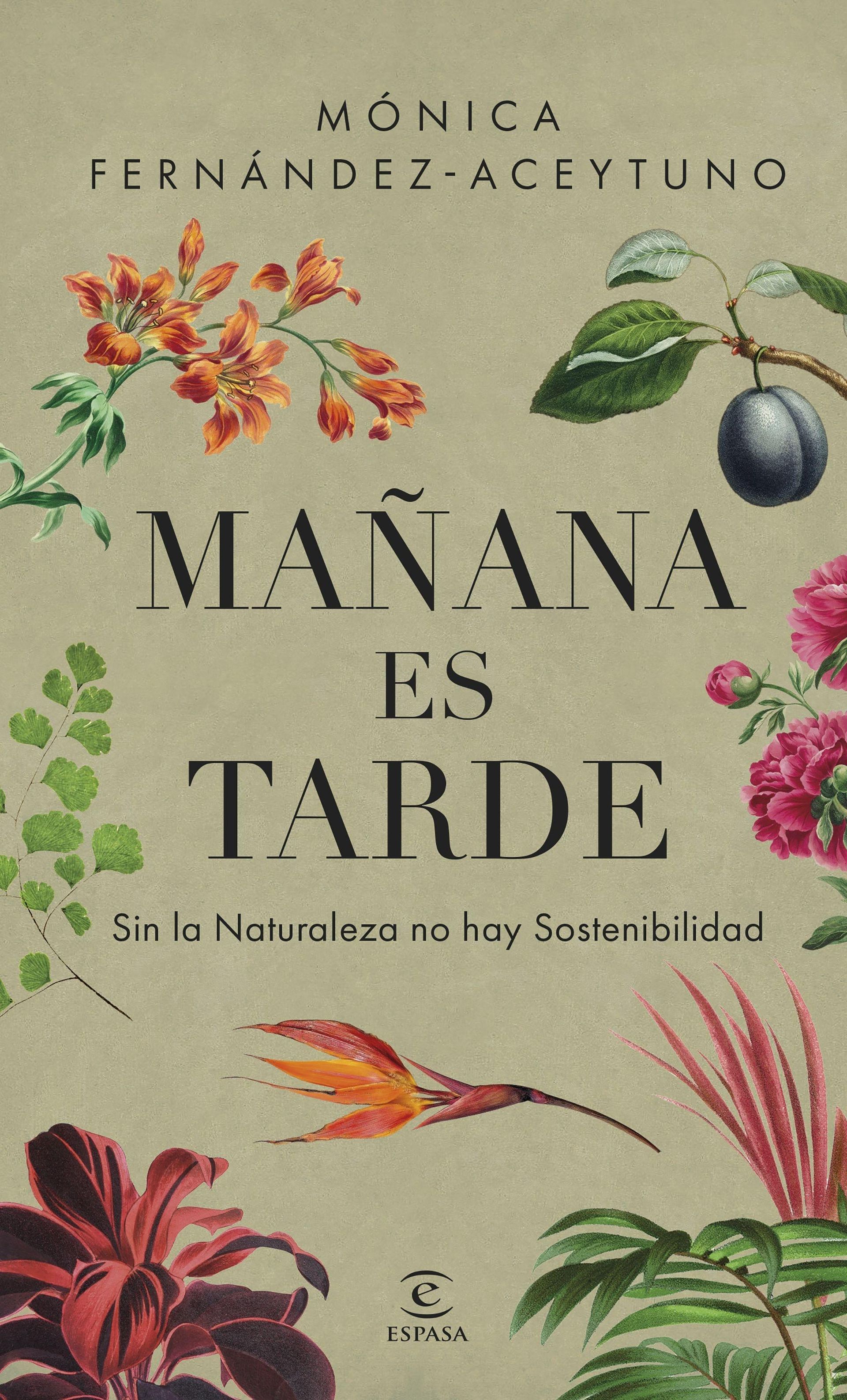 A book called manana es tarde by monica fernandez aceytuno