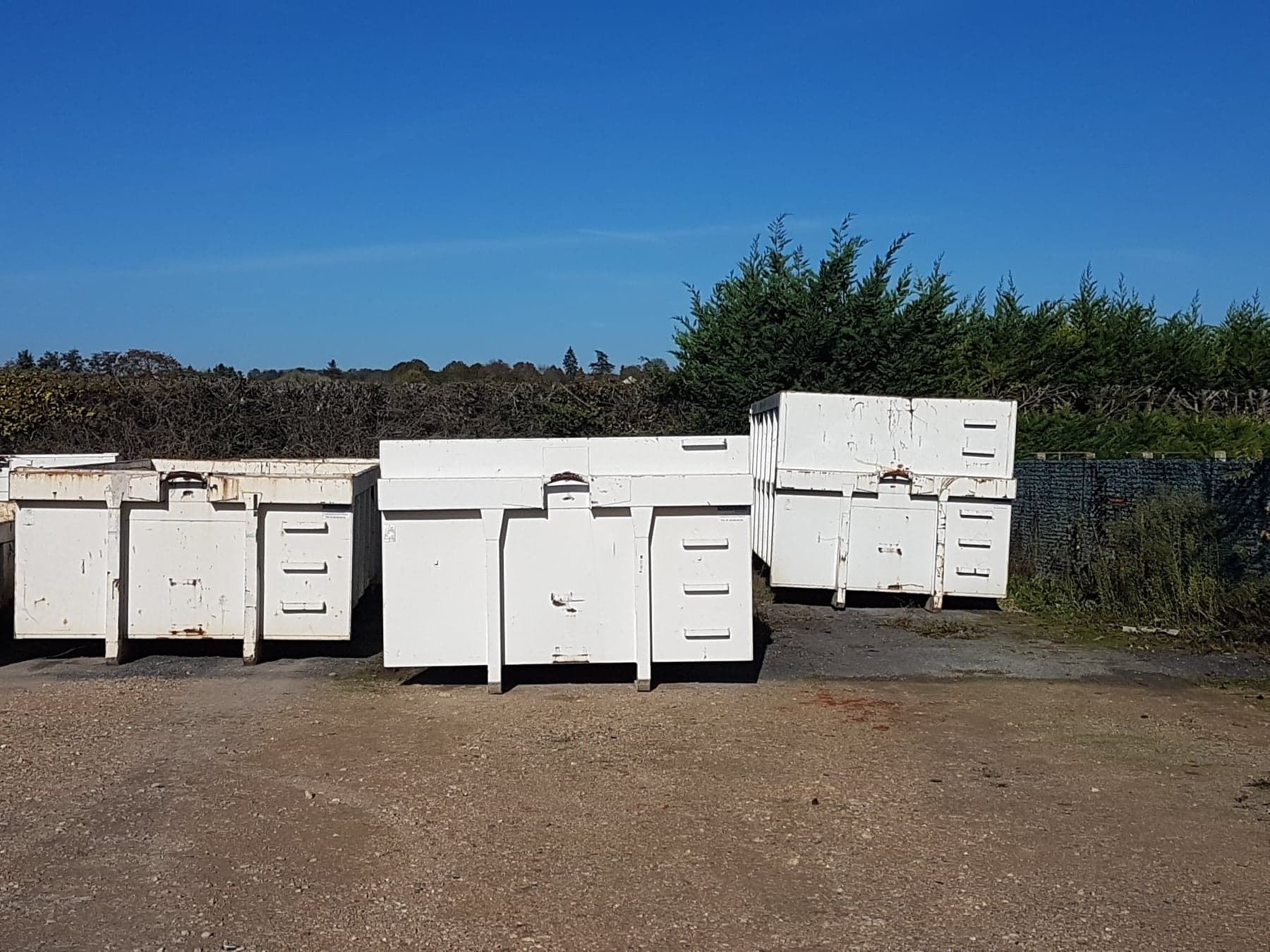 Un conteneur à déchets vert rempli de débris se trouve sur une allée en béton.